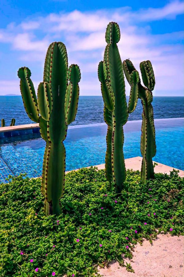 Casa Natalie Otel Ensenada Dış mekan fotoğraf